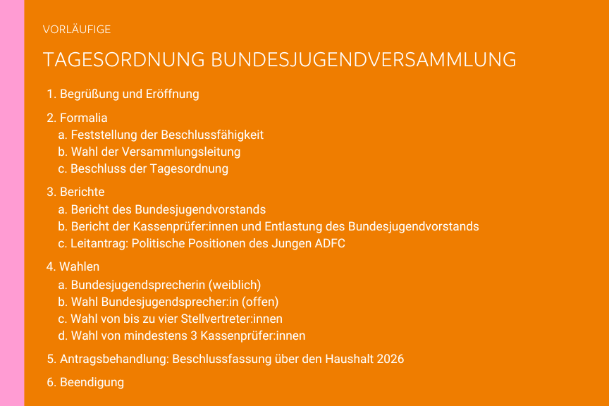 Vorläufige Tagesordnung Bundesjugendversammlung 2026